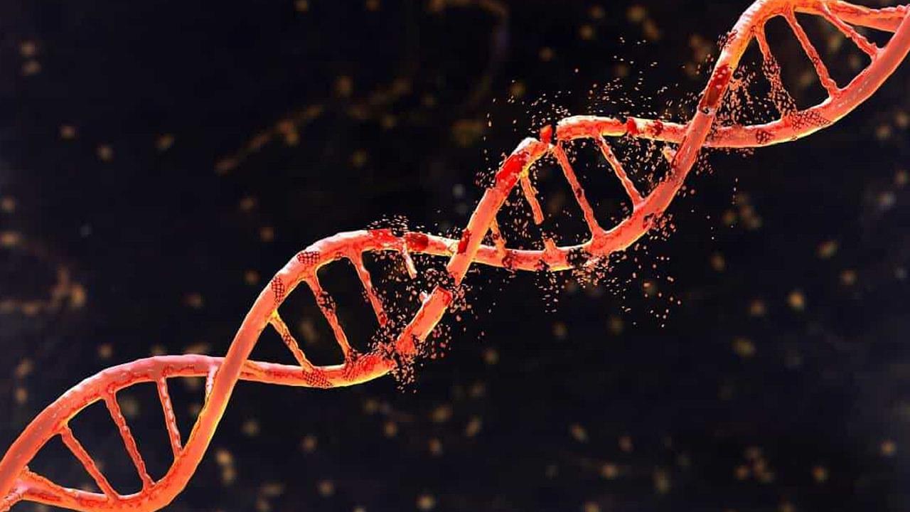 Fenilketonüri hastalığı nedir, belirtileri nelerdir? Bebeklerde fenilketonüri hastalığı belirtileri...