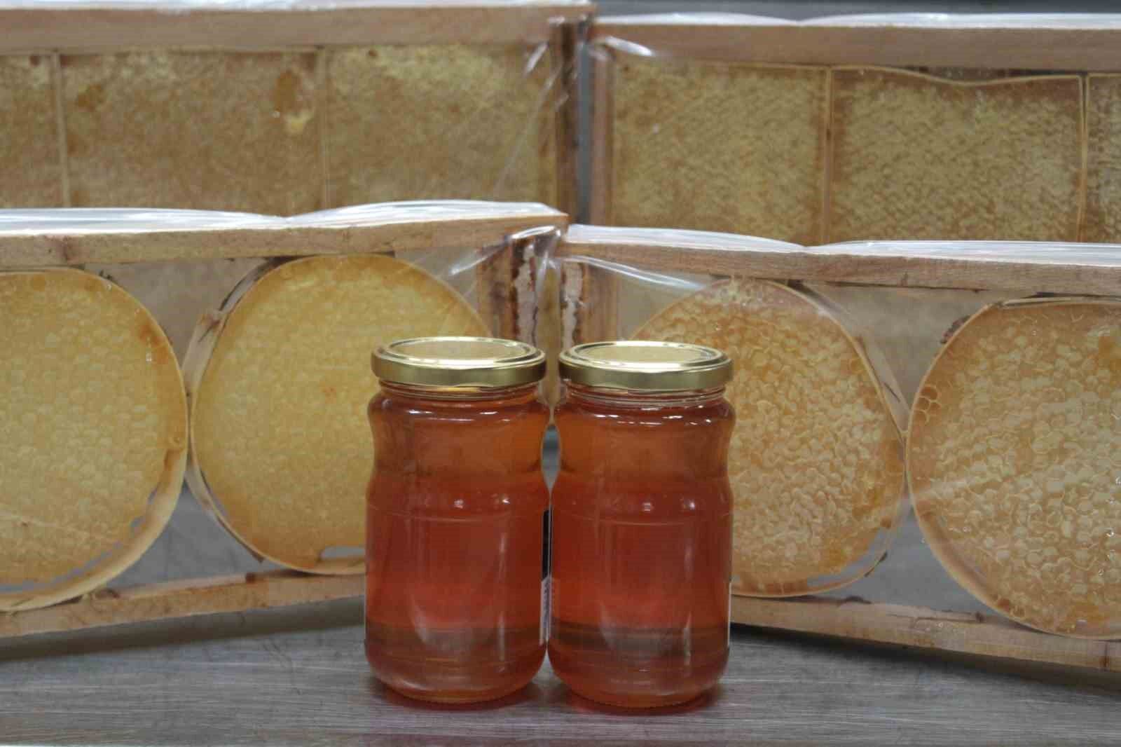 Ordu’dan 55 ülkeye bal ihracatı