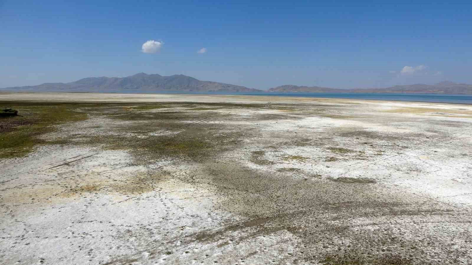 Kuş cenneti Erçek Gölü’nün kıyı şeridi buhar oldu