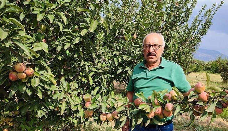 Elma üreticilerinin başı ‘kara leke’ ile dertte