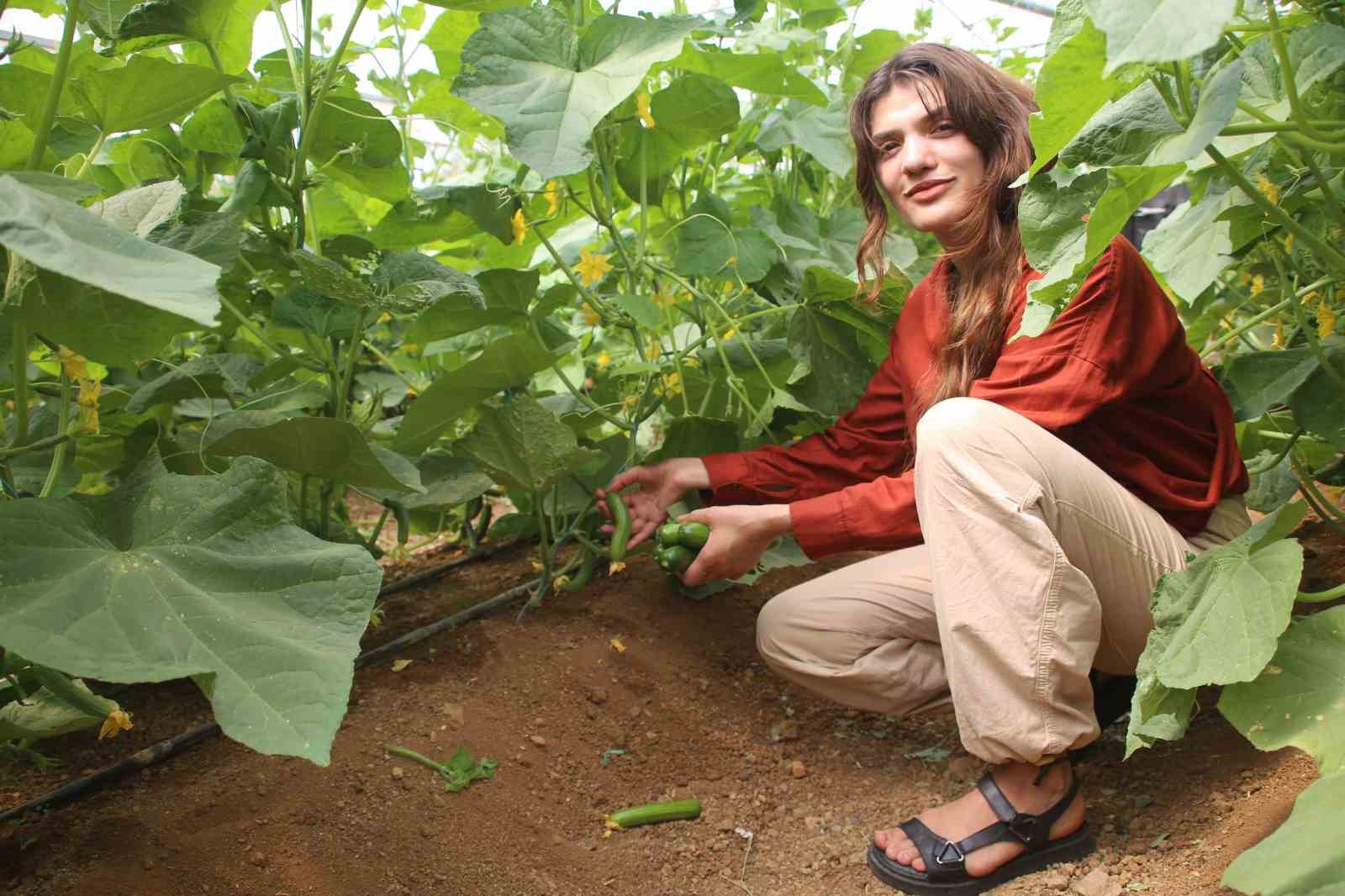 Derecik’te seracılık yaygınlaşıyor