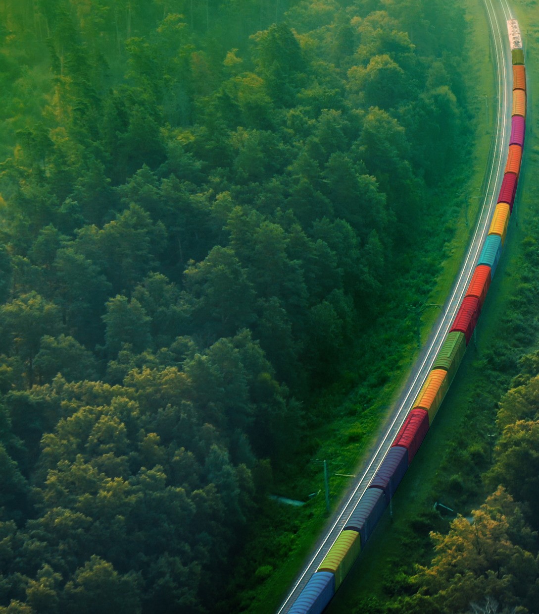 Omsan Logistics, Stevie Awards’tan bu yıl da iki ödül aldı