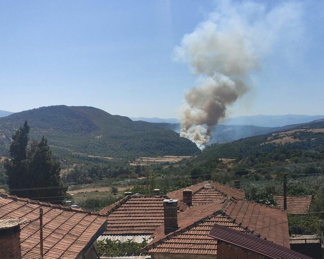 Soma’da orman yangını!