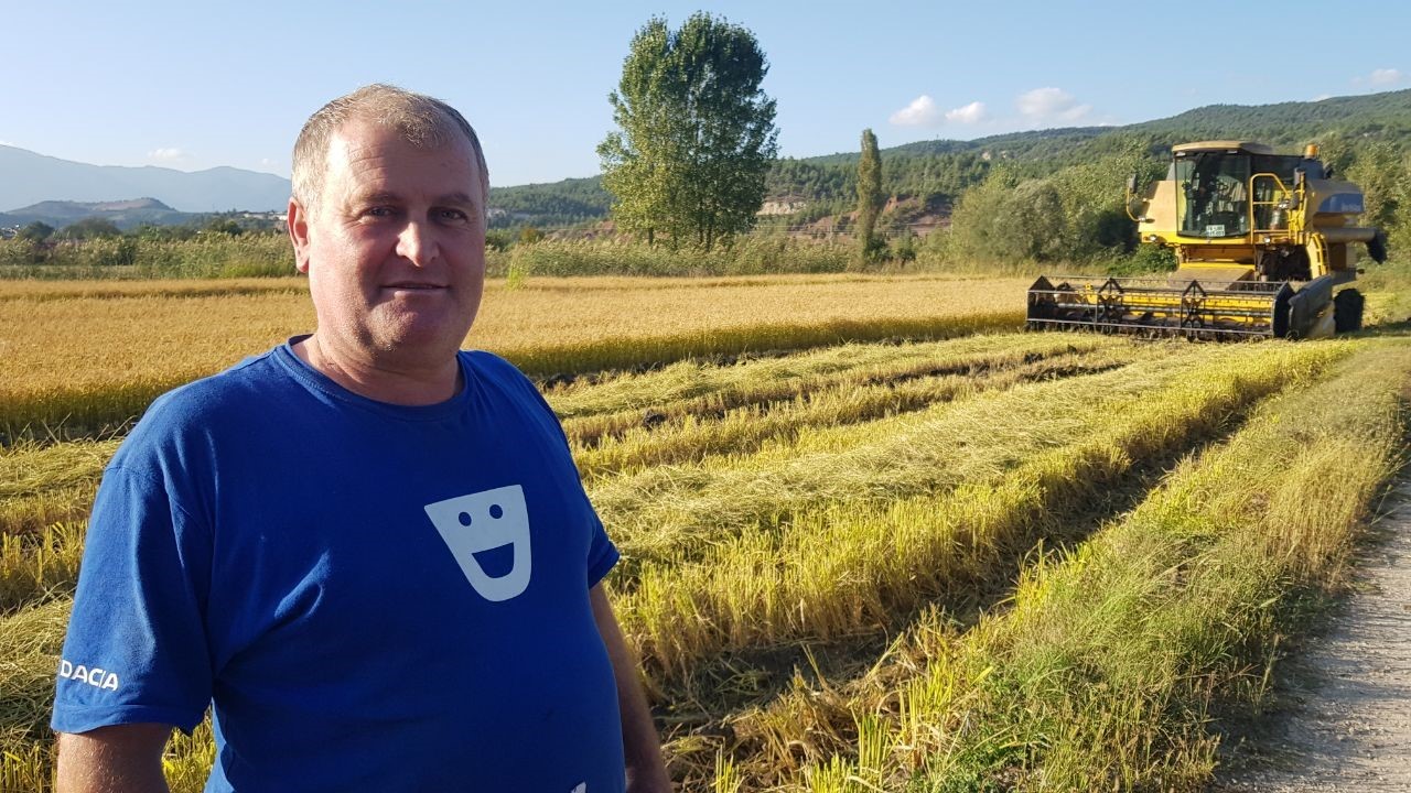 ‘Beyaz altın’ çeltikte hasat gecikmeli olarak başladı