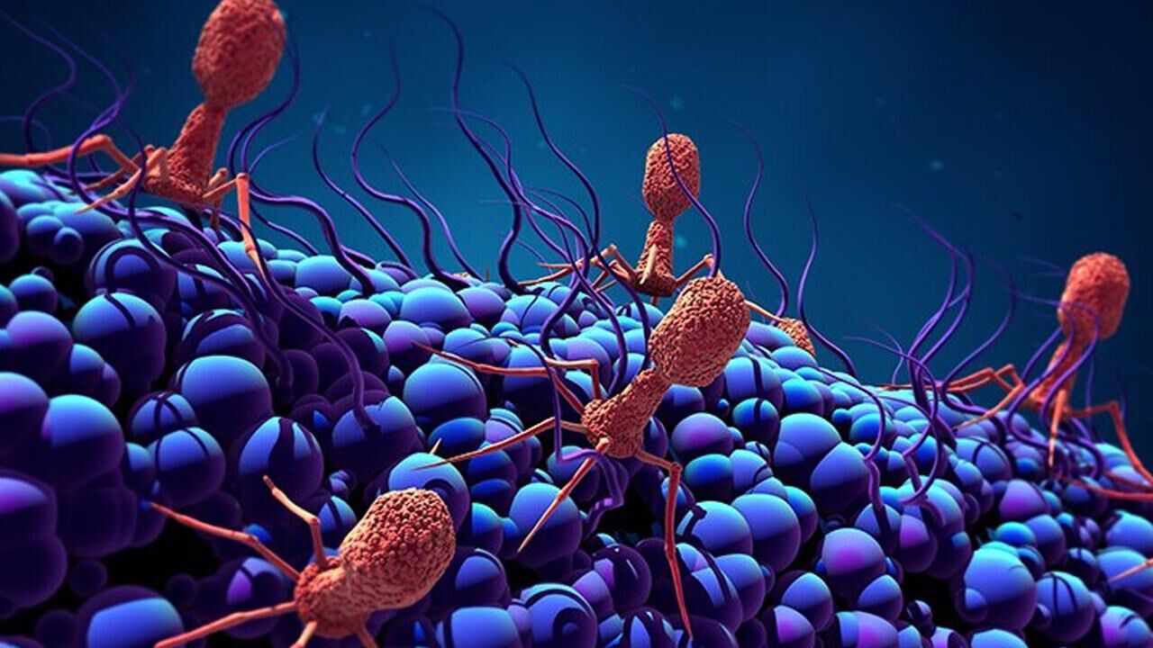 Klavyelerdeki bakterilere dikkat! Klavyeler sağlığınızı tehdit ediyor olabilir!