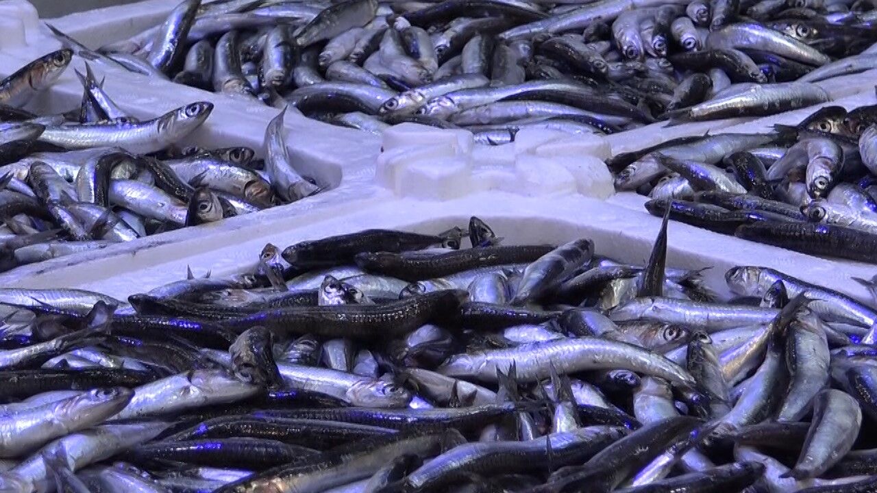 Hamside kampanya yaptı: 18 kiloluk hamsi kasasını 250 TL’den satışa çıkardı