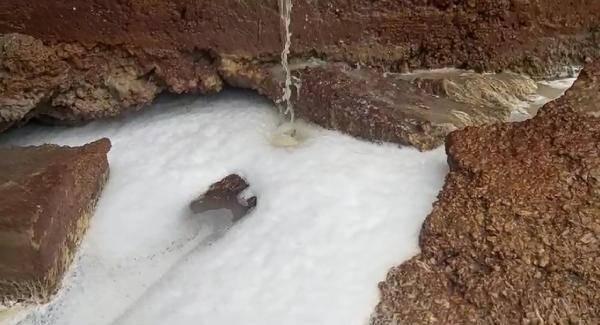 Kocaeli'de 'kimyasal madde boşaltıldı' iddiasına inceleme