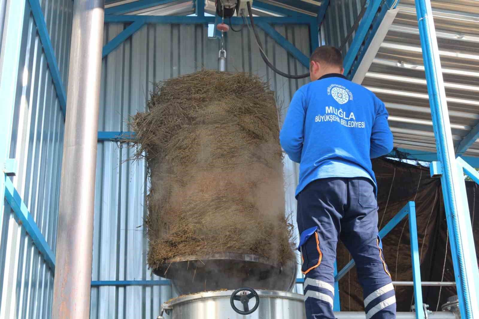 Tarımsal Güçbirliği kazandırıyor