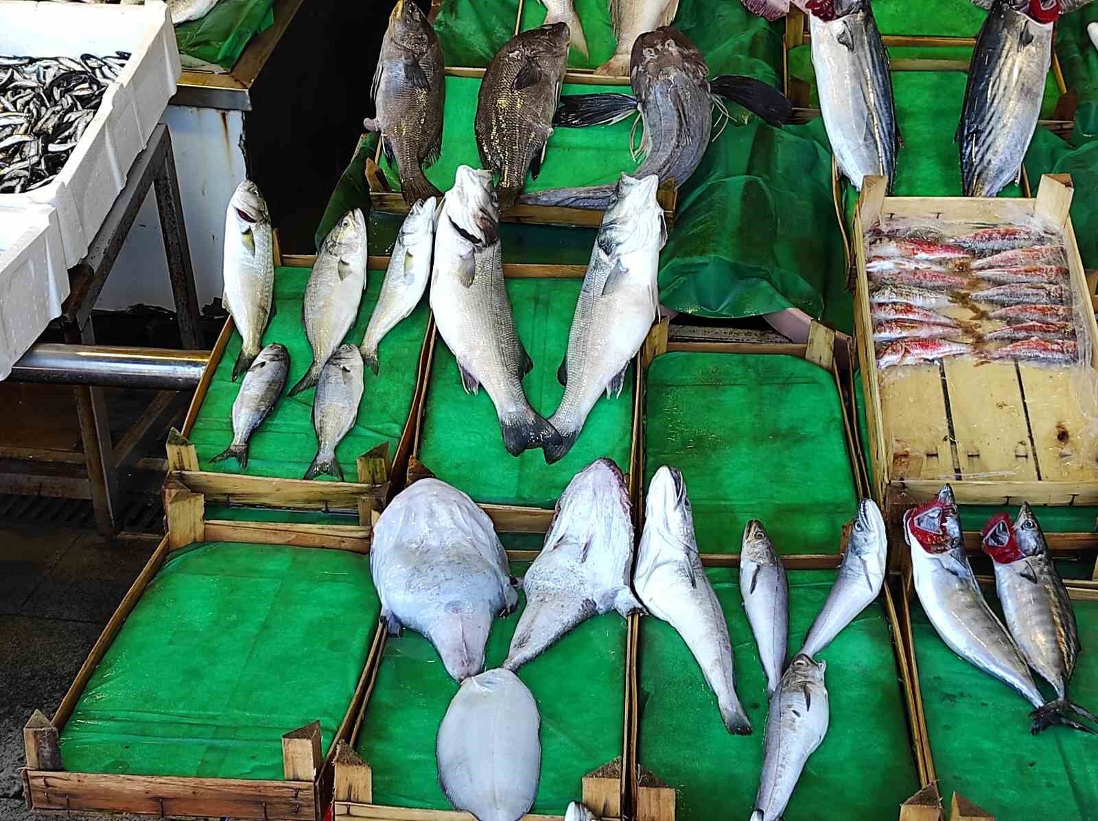 Balık tezgahlarında lüfer bolluğu: fiyatı yarı yarıya düştü