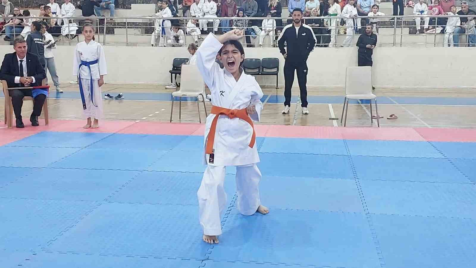 Diyarbakır’da Amatör Spor Haftası karate ile devam ediyor