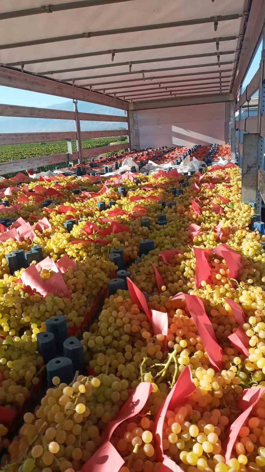 Sarıgöl’den günde 5 tır üzüm ihraç ediliyor