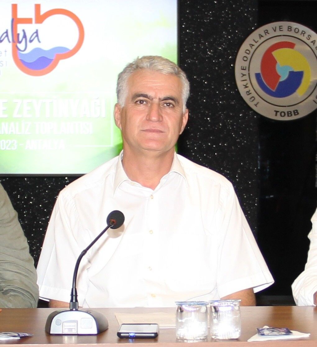 Zeytinde yüzde 50 oranında rekolte kaybı yaşandı