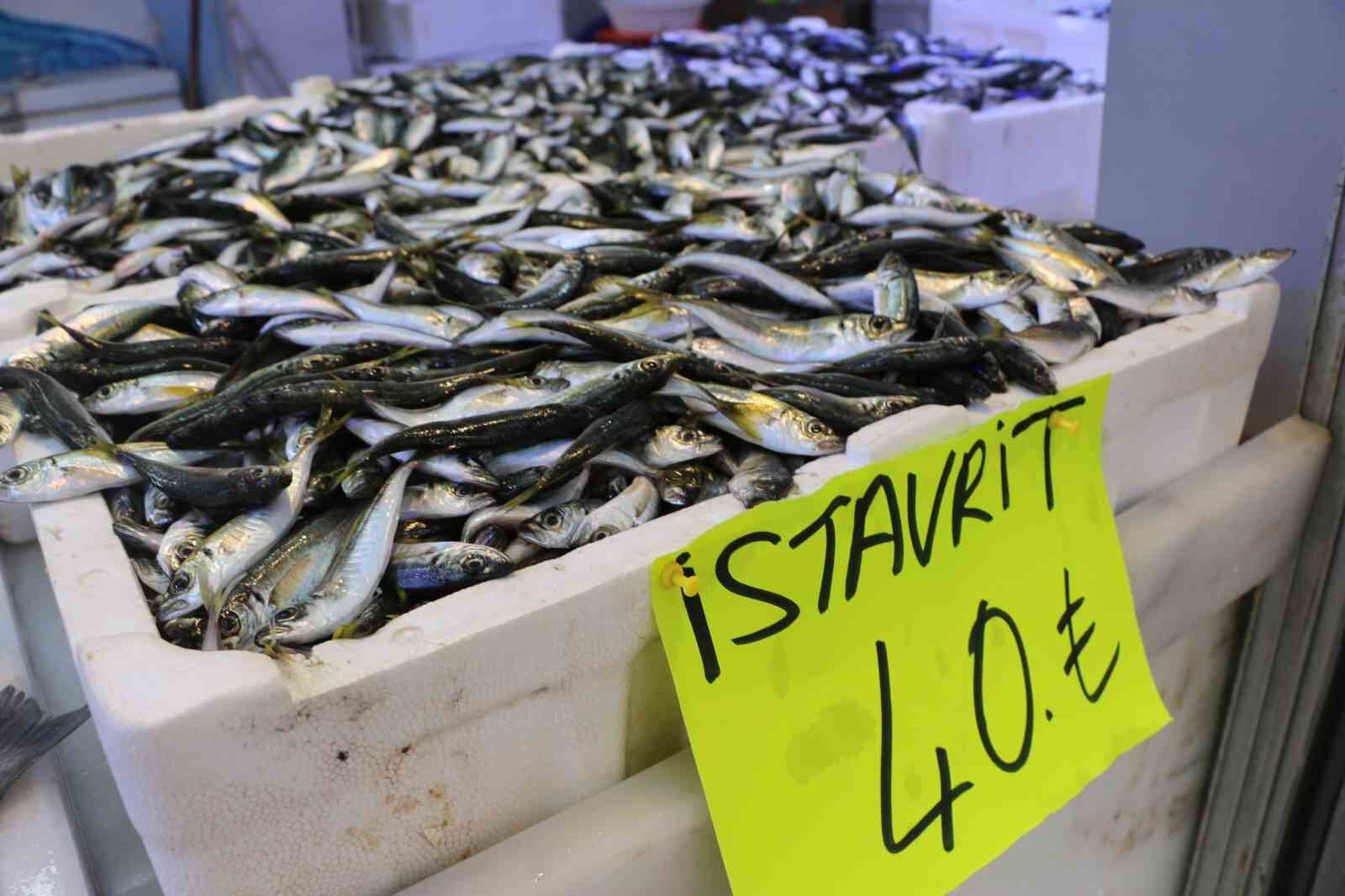 Balıkçılar denizlerin soğumasını bekliyor