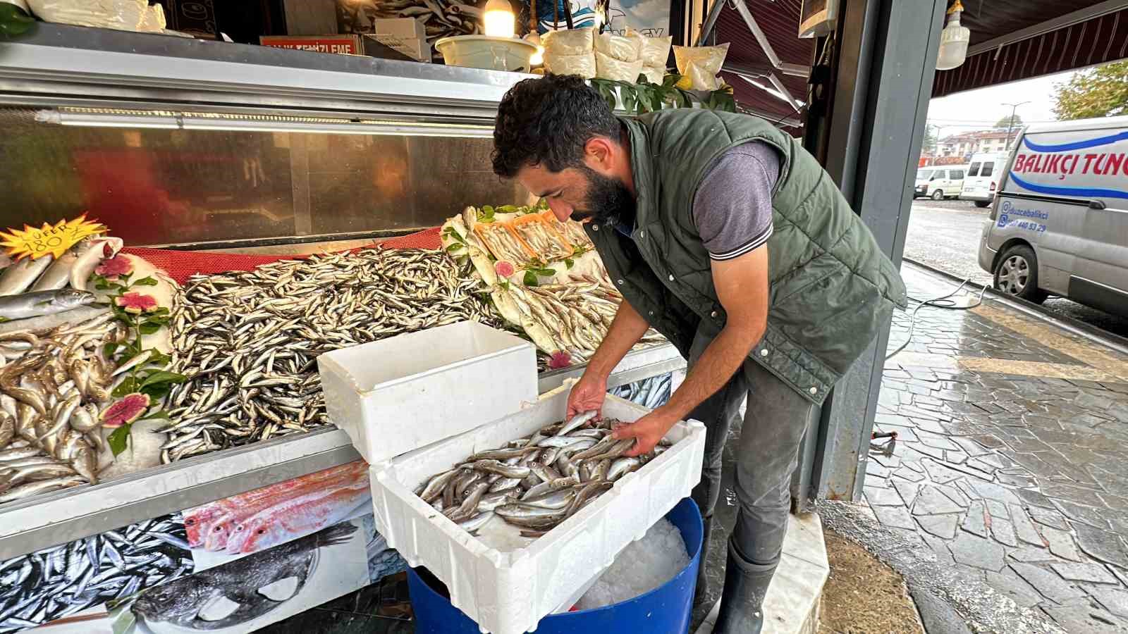 Tezgahlarda hamsi bolluğu