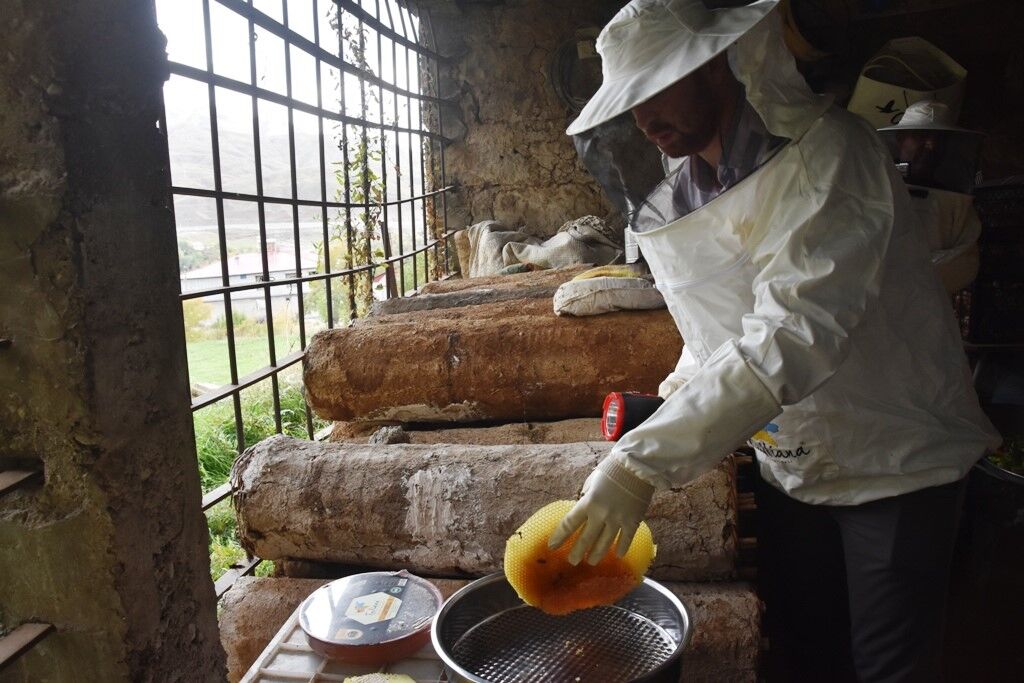 Dünyaca ünlü Bitlis kara kovan balının hasadına başlandı
