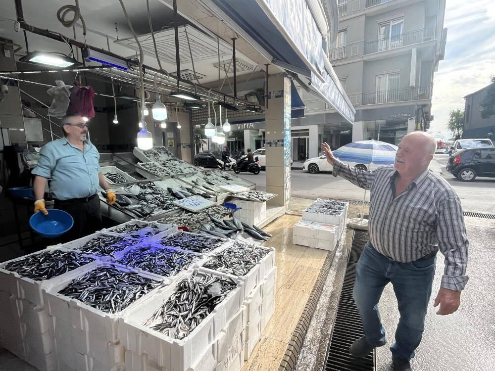 Sinop hamsisi 40 liraya düştü