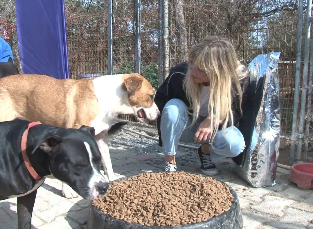 Getir’den hayvan barınaklarına 1,5 milyon kap mama