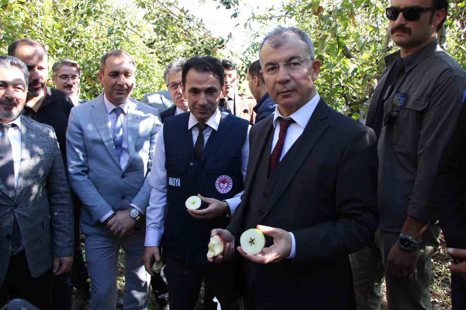 Amasya Valiliği elma için özel projeler planlayacak