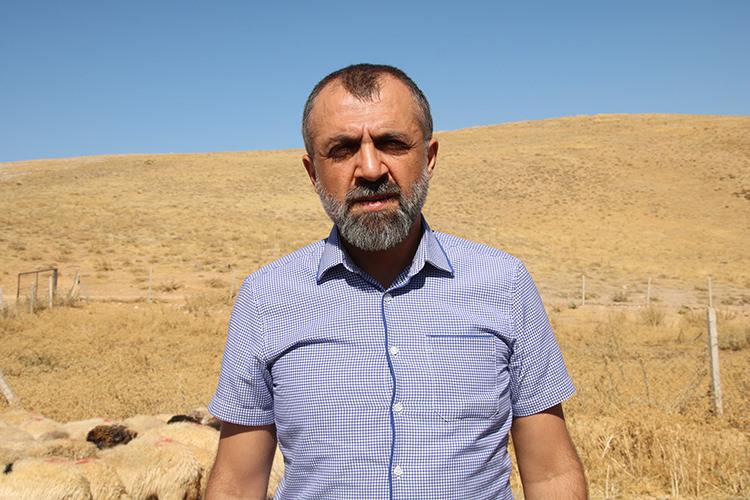 Borçla hayvancılığa başlayan kadın yetiştirici koyun sayısını 30'dan 300'e çıkardı