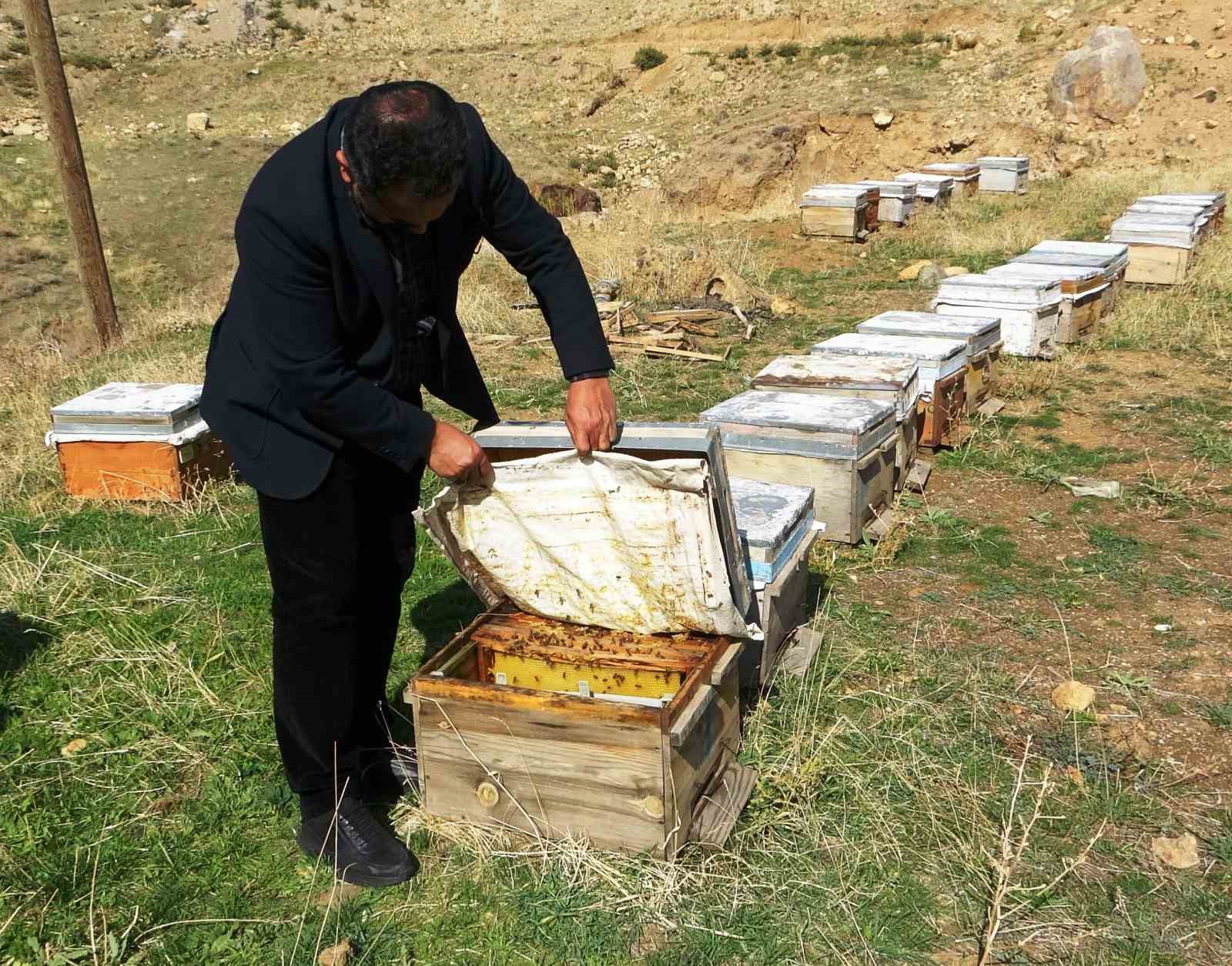 Van Arıcılar Birliği Yönetim Kurulu Üyesi Tandoğan: 