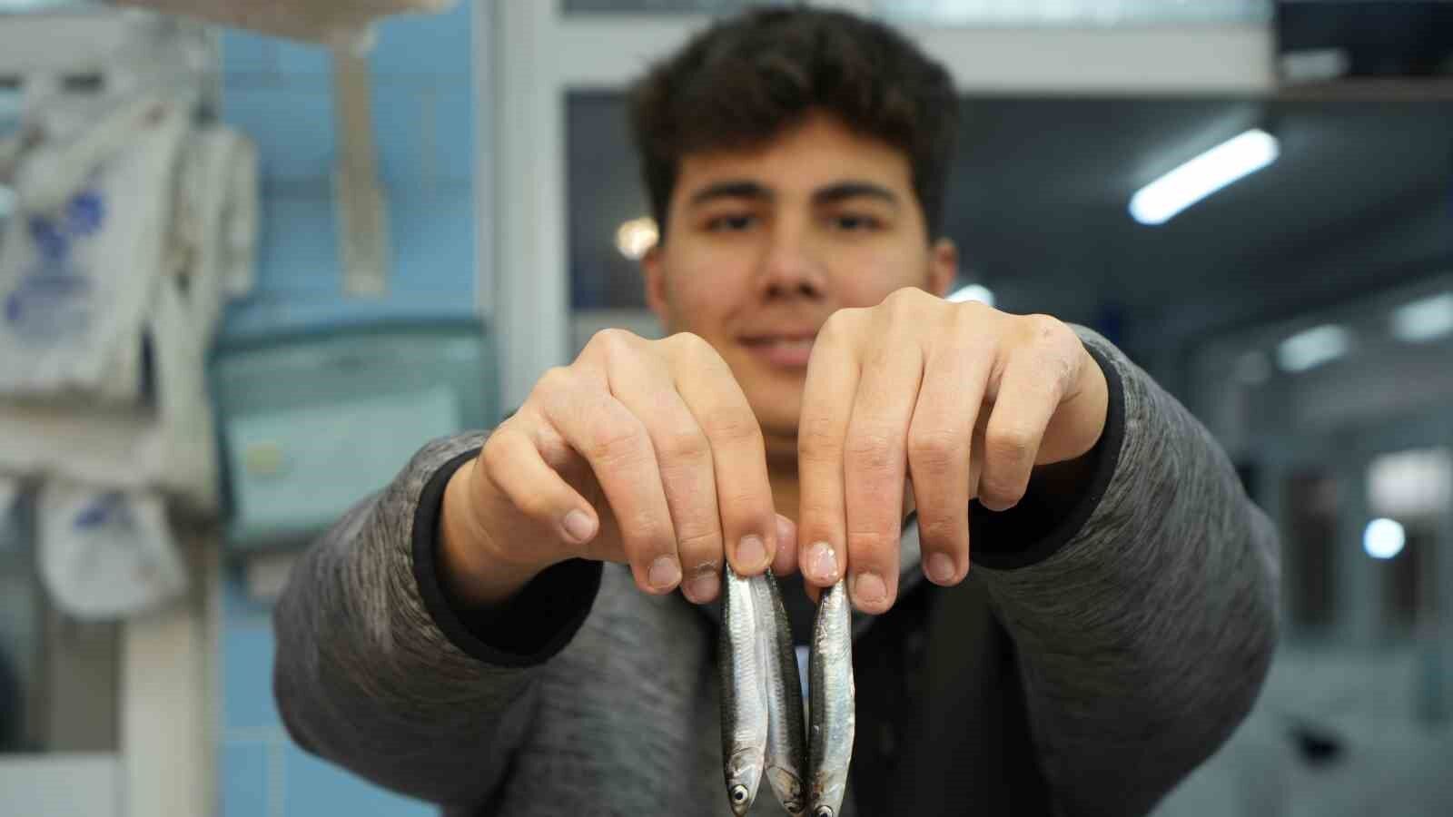 Bolu’da hamsiye rağbet sürüyor