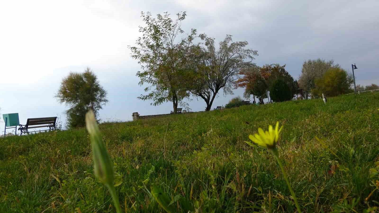 Van’daki ’bahar havası’ bilim adamlarını endişelendiriyor
