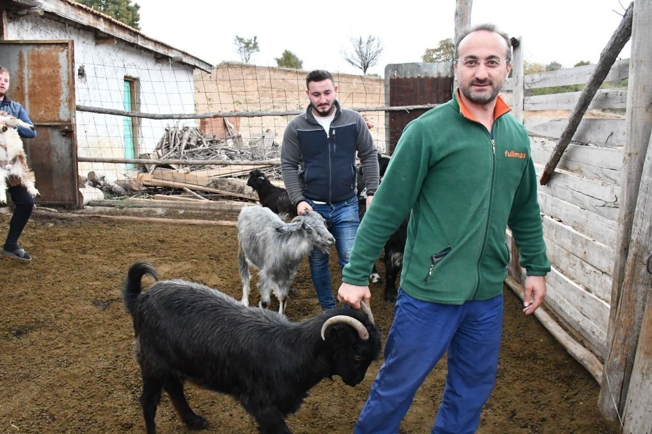 Emet Belediyesinin keçi peyniri projesinde üretici sayısı artıyor