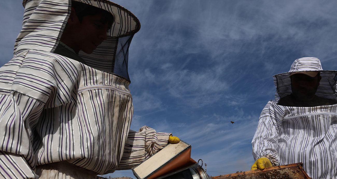 Diyarbakır’da arıların ‘tatlı uykusu’ başladı