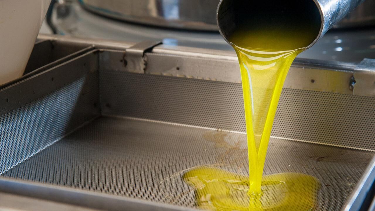 Zeytinyağı alırken aman dikkat! Ucuza satılan zeytinyağları zehir saçıyor…