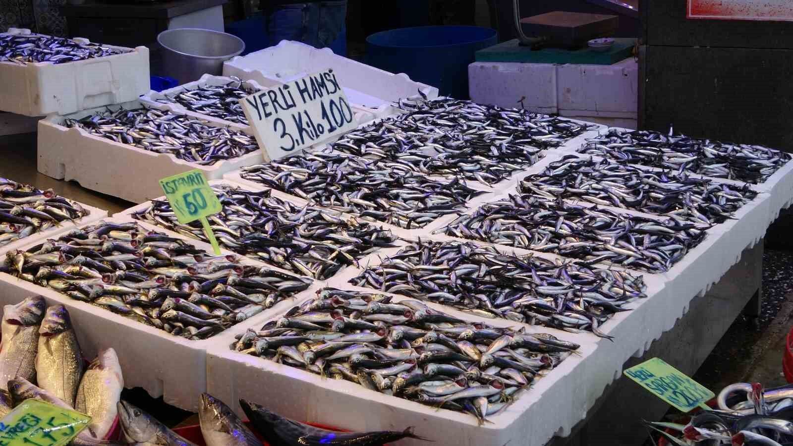 Hamsi sezonu sürüyor, palamut sezonu ise bitti