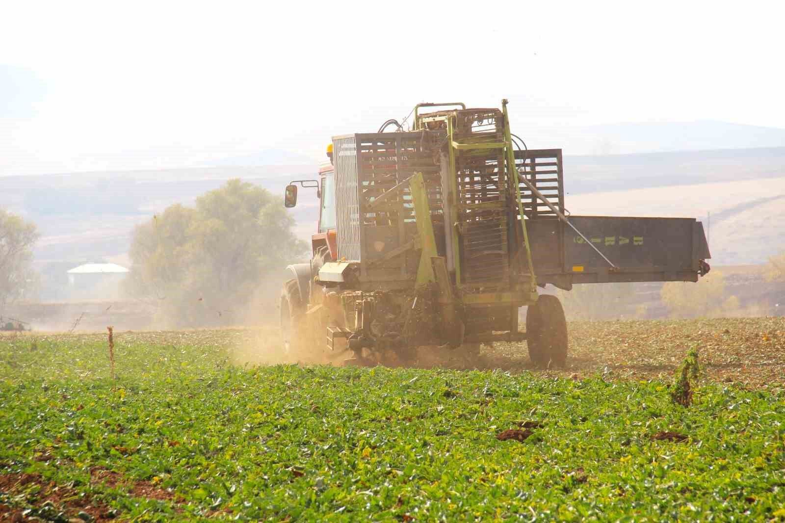 Kahramanmaraş’ta  şeker pancarı hasadı başladı
