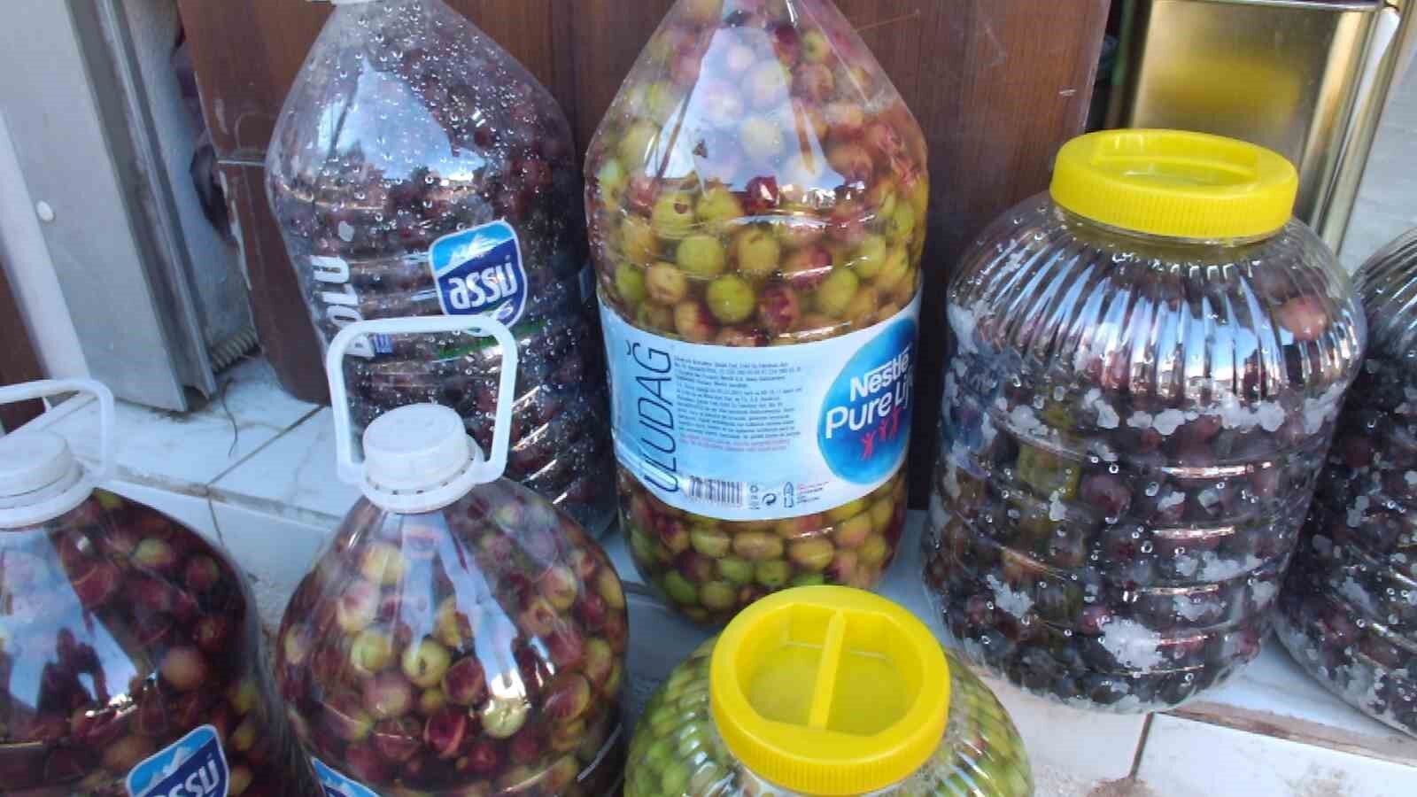 Balıkesir’de kırma zeytin hazırlanmasına başlandı