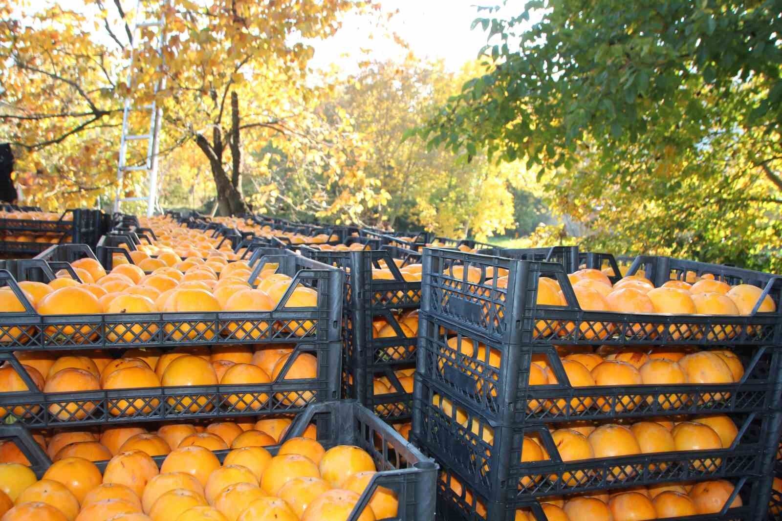 (ÖZEL) Yaşı 15, kurusu 200 lira