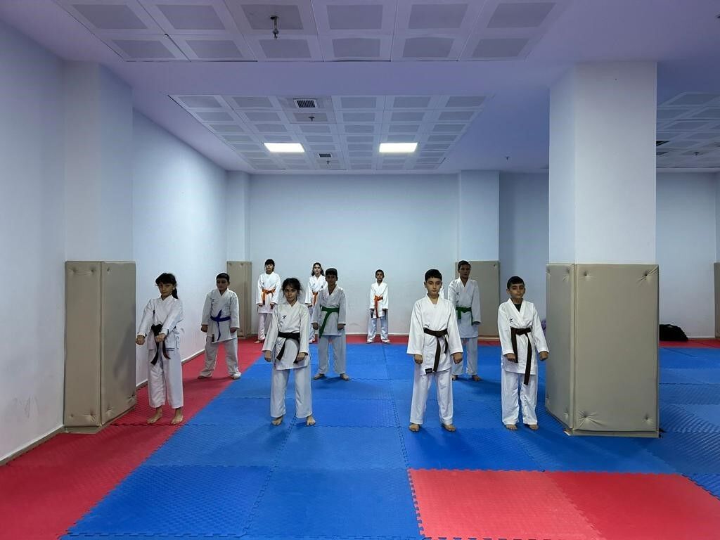 Diyarbakır’da minikler tekvando ile büyüyor
