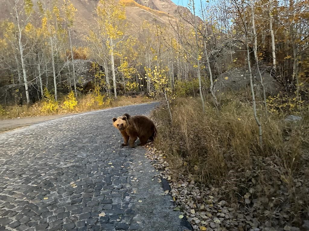 Vanlı 40 dağcı Nemrut Krater Gölü’nde unutulmaz bir gün yaşadı