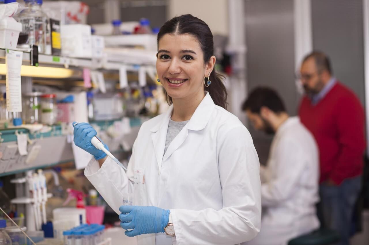 YÖK, 208 üniversitenin analizini çıkardı