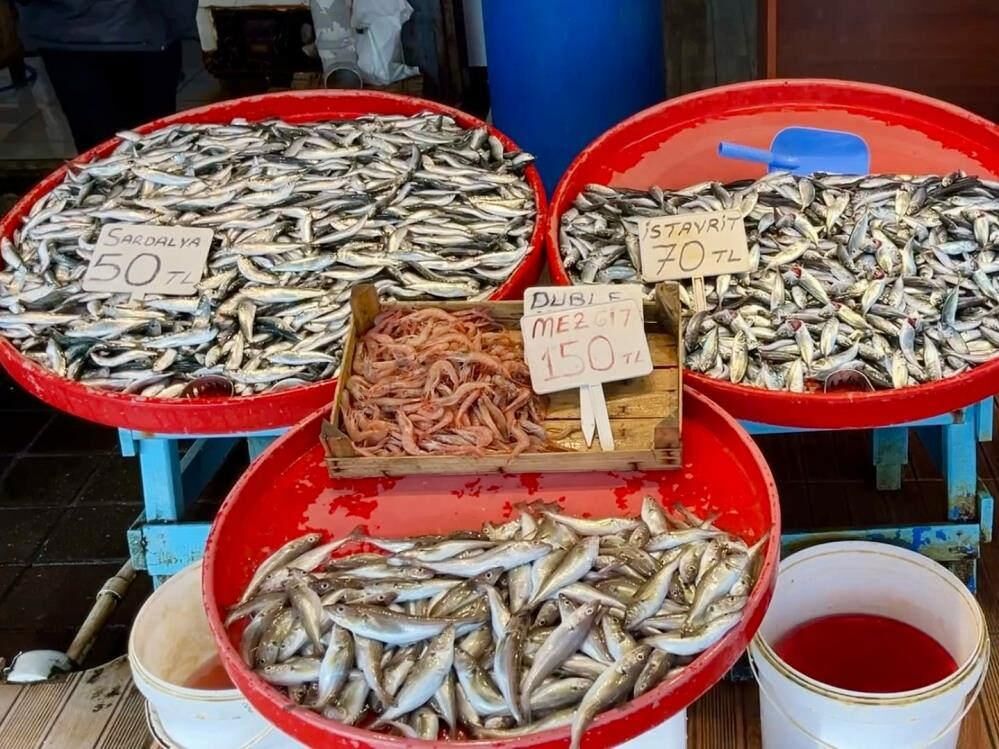 Büyük balık küçük balığı yiyemedi, hamsi bollaştı