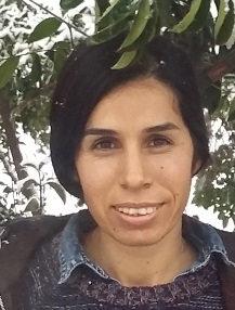 MİT'ten SİHA'larla operasyon: Sebahat Ormanlı etkisiz hale getirildi!