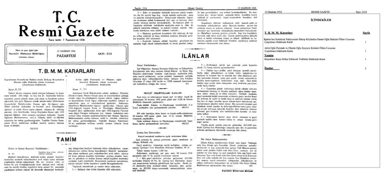 Destici'den başıboş köpek sorununa çözüm önerisi