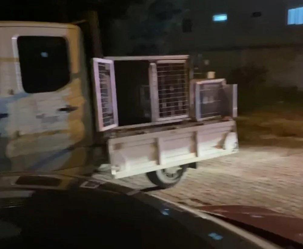 Beylikdüzü'nde pitbull 2 çocuğa saldırdı