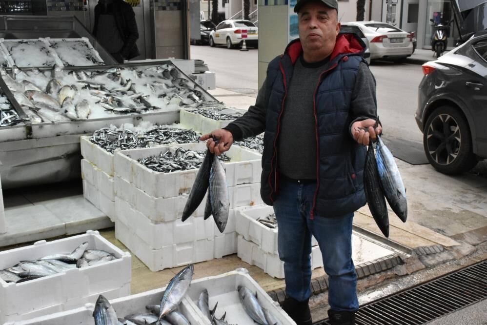 Sinop’ta palamudun tanesi 200 lira