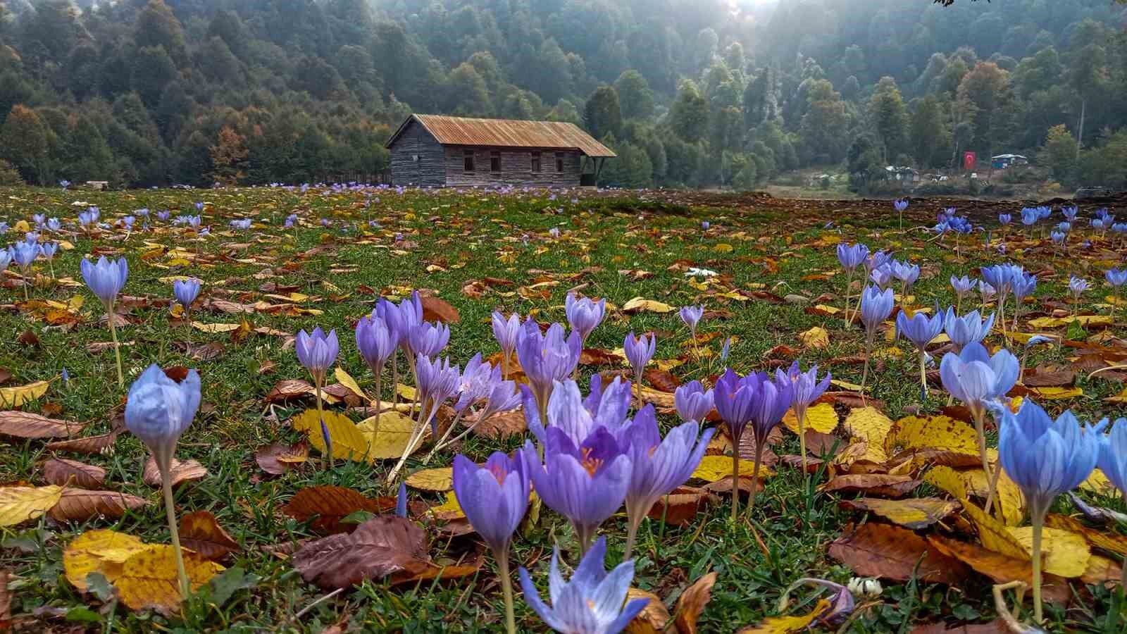 Sakarya’ya bir de bu açıdan bakın