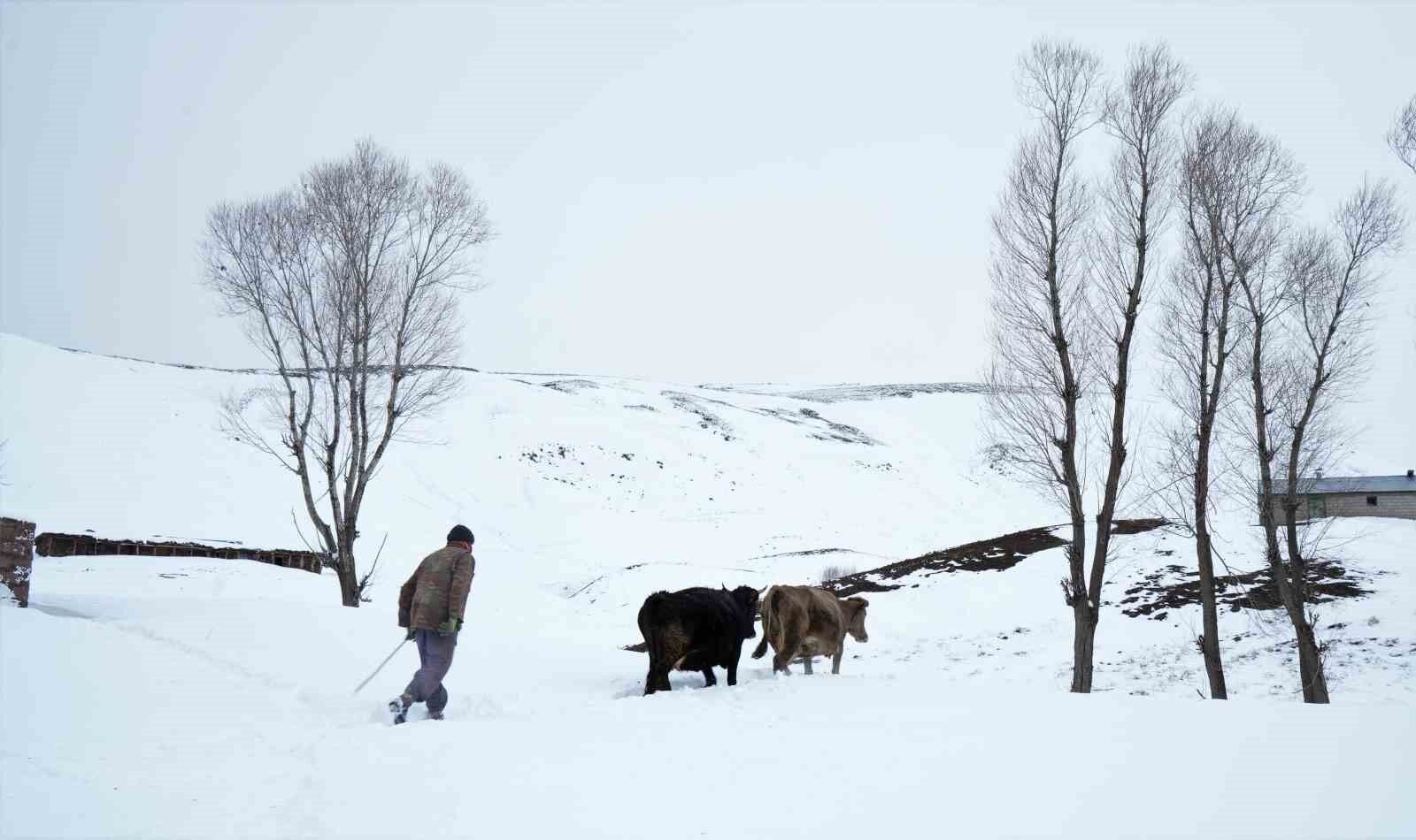 Muş’ta yüksek rakımlı köyler kara gömüldü
