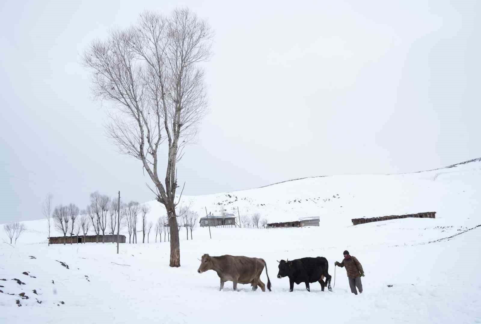 Muş’ta yüksek rakımlı köyler kara gömüldü