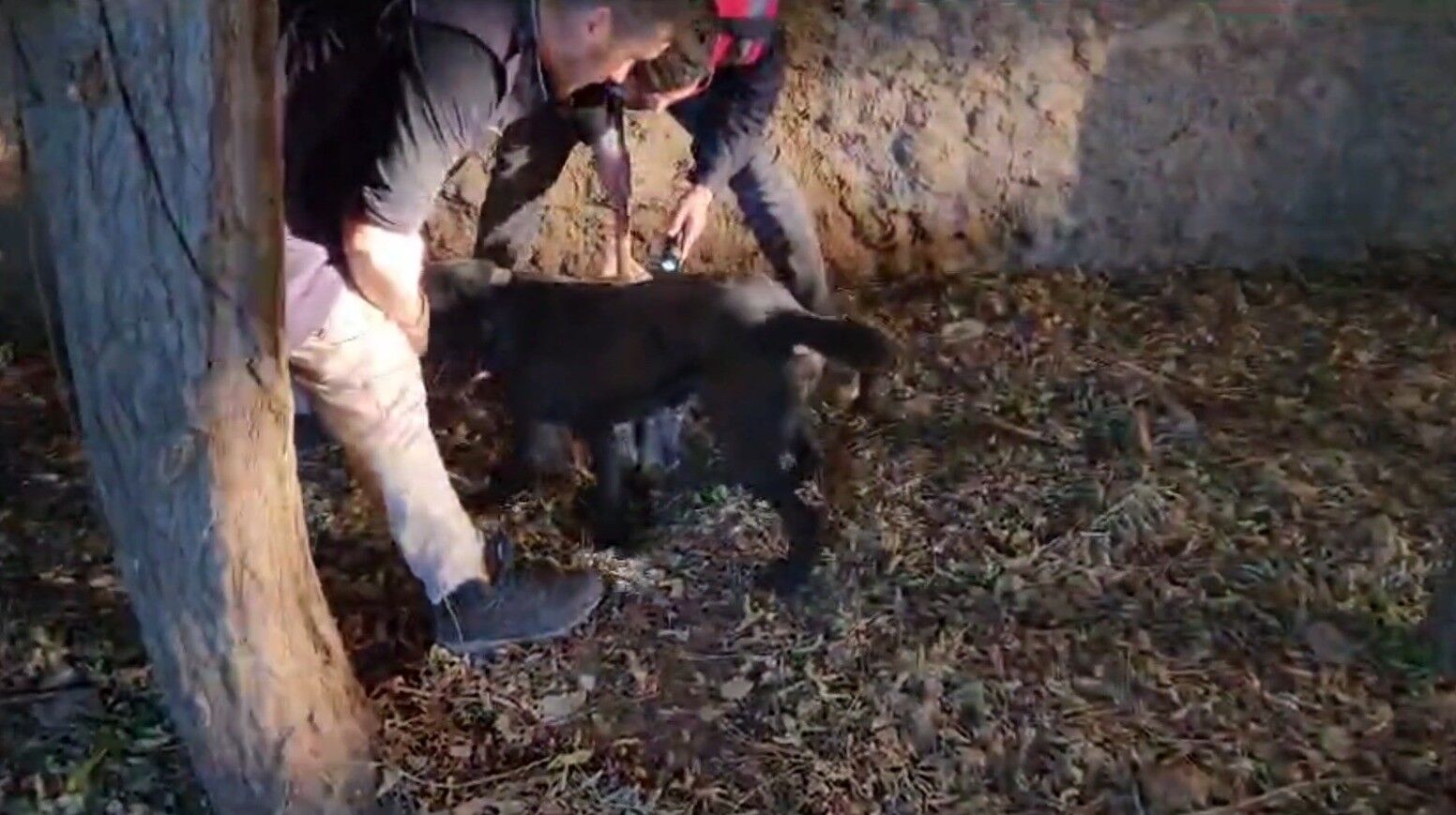 Jandarma ahırda çok sayıda silah ve mühimmat buldu