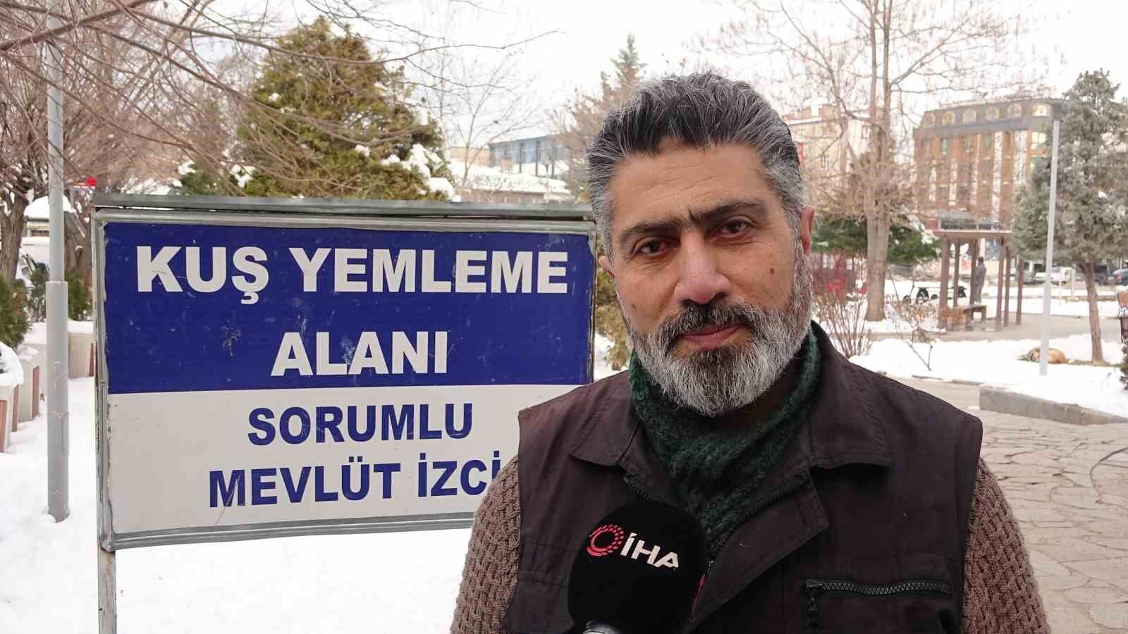 Yem kapmak için birbiriyle yarışan güvercinler görsel şölen oluşturdu