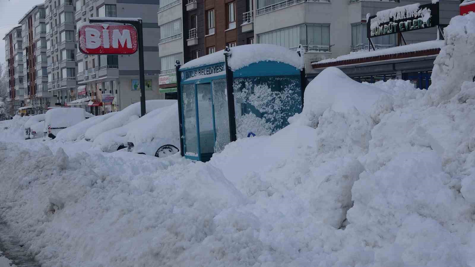 Kar Bitlis’i esir aldı