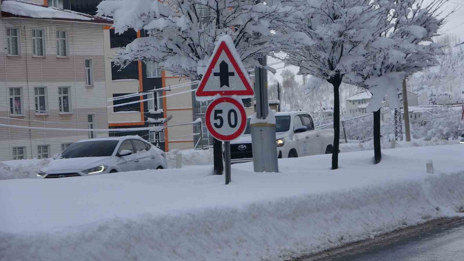 Kar Bitlis’i esir aldı