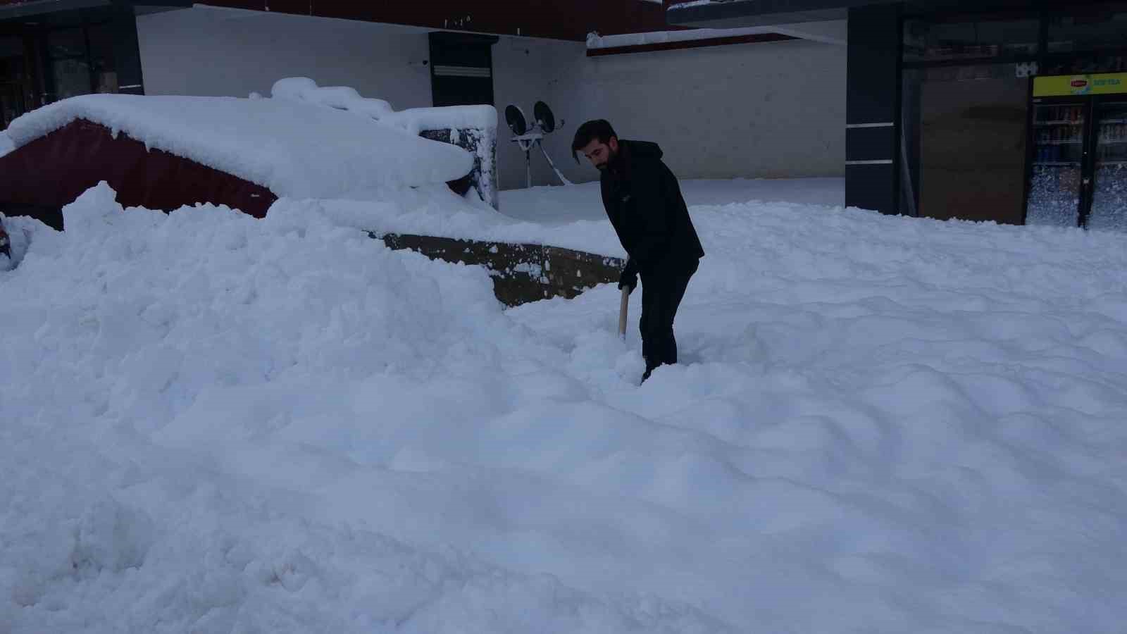 Kar Bitlis’i esir aldı