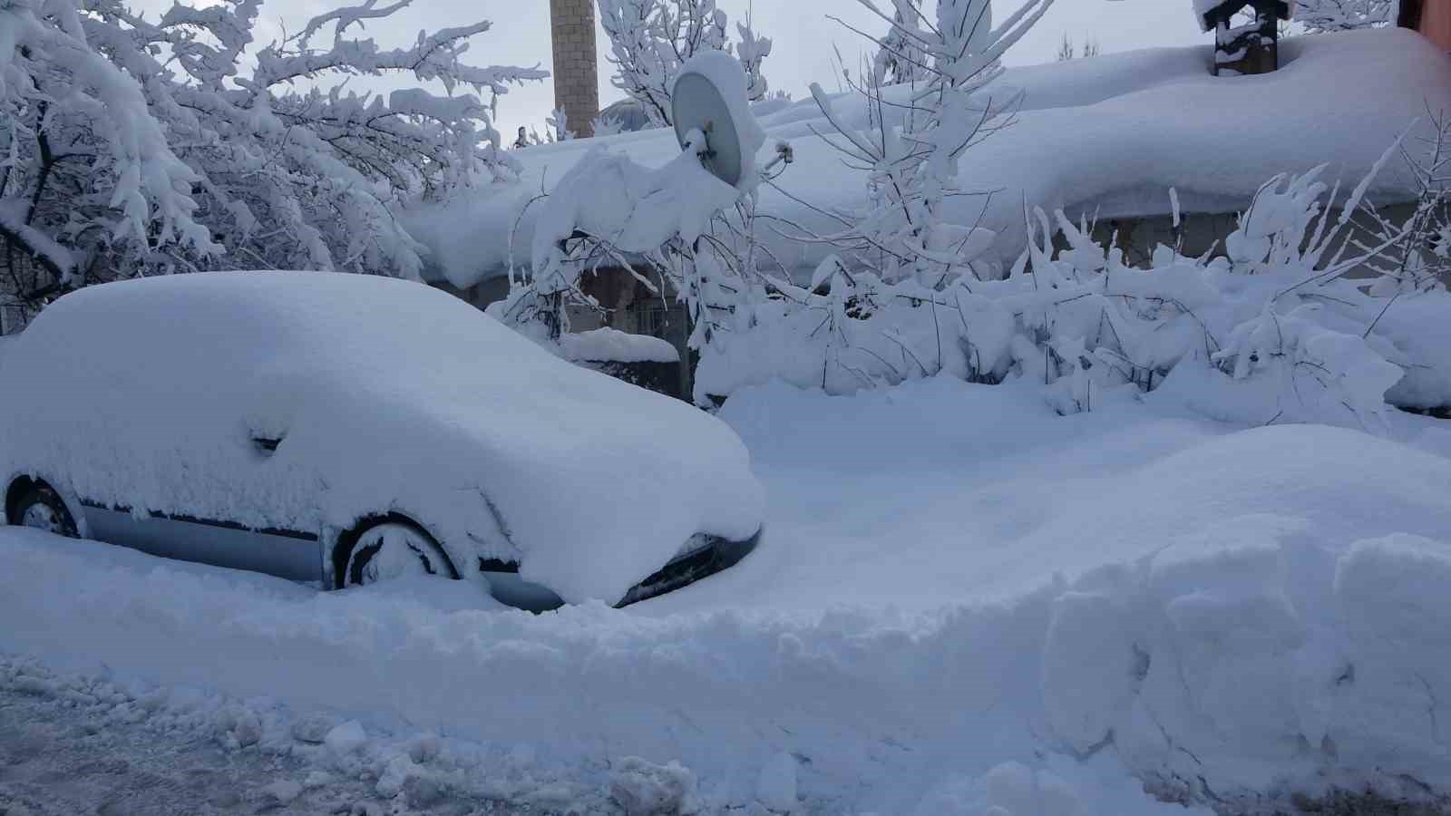Kar Bitlis’i esir aldı